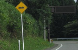 250-IMG_0310-1.jpg