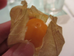 250-IMG_6757.jpg