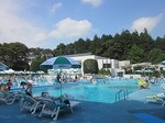 250-IMG_9460.jpg