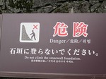 250-IMG_9992.jpg