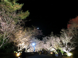 400-IMG_2535.jpg