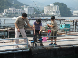 400-IMG_3950.jpg