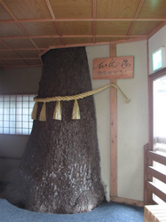 400-IMG_4033.jpg