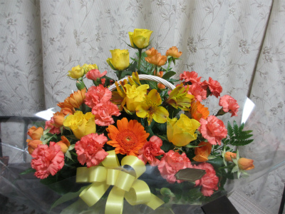 400-IMG_5329.jpg