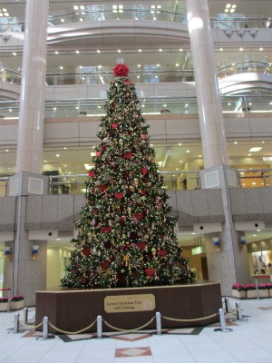 400-IMG_5364.jpg
