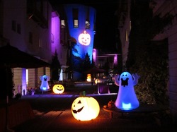 IMG_0252.jpg