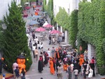 IMG_0542.jpg