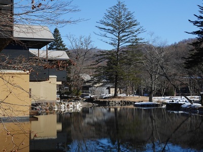 1000-P1030413.jpg
