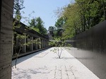 250-IMG_6767.jpg