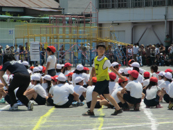 250-IMG_8800.jpg