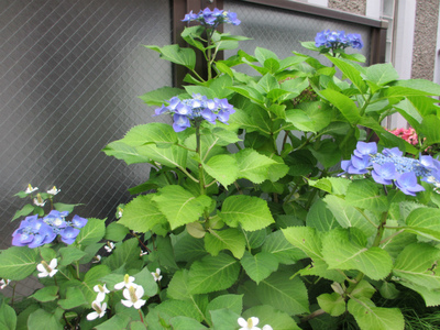 250-IMG_9680.jpg