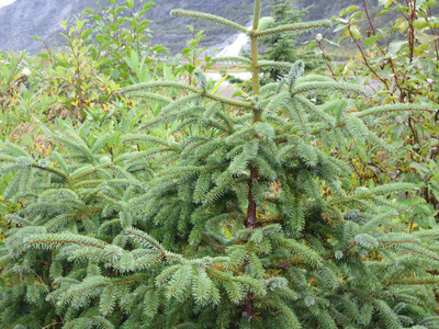 400-IMG_0569.jpg