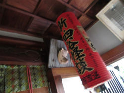 400-IMG_2368.jpg