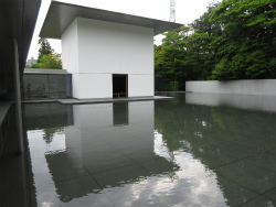 400-IMG_2547.jpg