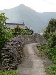 400-IMG_4485.jpg