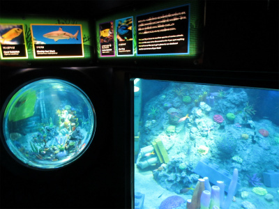 400-IMG_7514.jpg