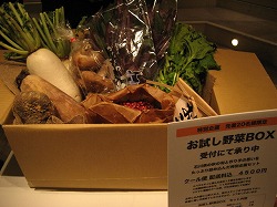 IMG_1394.jpg