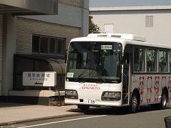 IMG_2356.jpg