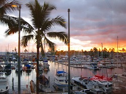 IMG_3002.jpg