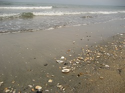 IMG_3933.jpg