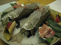 IMG_3950.jpg