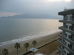 IMG_3979.jpg