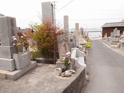P1250186.jpg