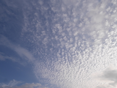 P1340015.JPG