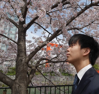 サクラサク 旅育からの大学受験 京都大学へ 旅行ジャーナリスト村田和子のブログ