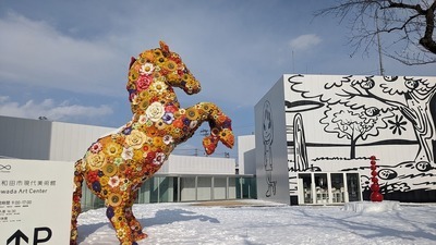 PXL_20230109_031347634.jpg