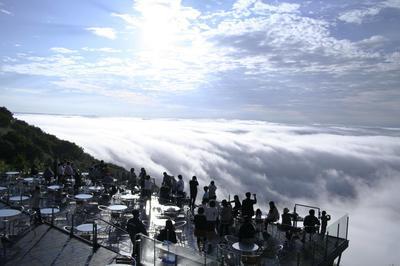 _MG_4347.jpg