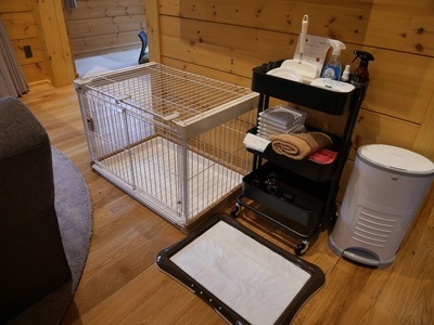 s-P1290429.jpg