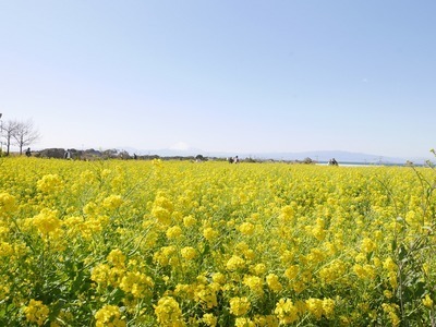 s-P1360583.jpg