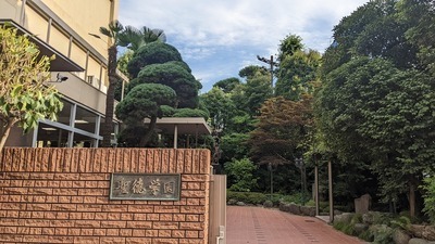 s-PXL_20220709_075423663 (1).jpg